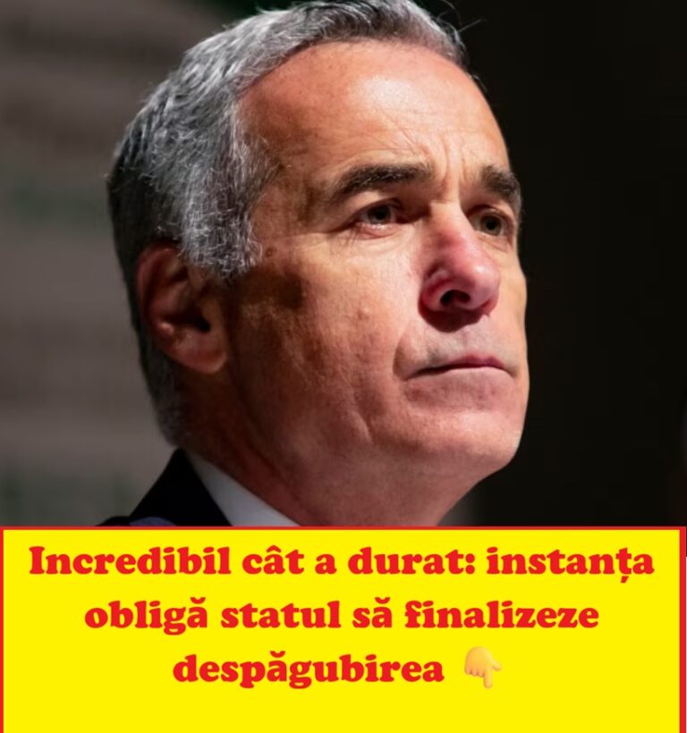 Decizie de instanță după 11 ani de așteptare: dosar de despăgubire deblocat la Tribunalul Constanța