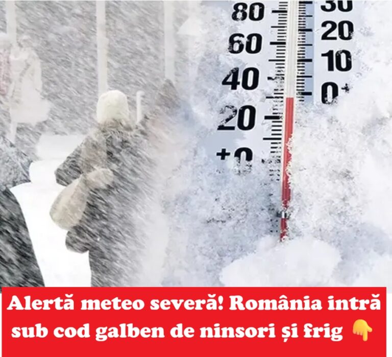 Alerte meteo ANM: cod galben de ninsori viscolite și ger accentuat în România. Zonele vizate pe hartă